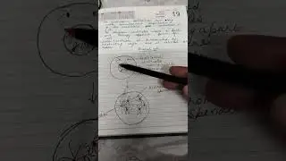 Cell cycle in very easy explanation for class 9th and 10th 😊 