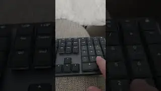 Samsung Data Recovery. Samsung broken screen and smart switch.