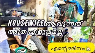 എന്റെ ആരും കാണാത്ത ഒരുദിവസത്തെ പോരാട്ടം 🏡🌿#dayinmylife #day #cooking 