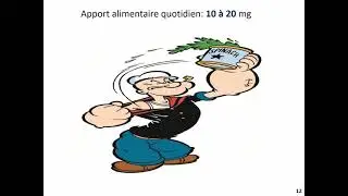 Dr Mezhoud - Exploration du m&eacute;tabolisme du fer Partie 1 Cours 4&egrave;me ann&eacute;e pharmacie
