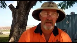 Cane knife sharpening 101