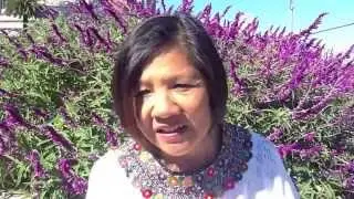 Genny Lim--TODAY'S REVOLUTIONARY WOMEN OF COLOR interview by Claudia D. Hern&aacute;ndez