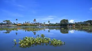 Beauty of Kuttanad | Kuttanad Backwaters | Life That Flows | Travel Video