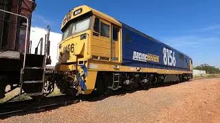 8156 & 48123 walk Condobolin West NSW.  Wed 28th Feb 2024