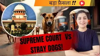 🦮Supreme Court vs Stray Dogs |🐾Public Safety या Animal Rights - Delhi NCR का बड़ा फ़ैसला | Dog Case