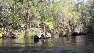Kiss Sidewinder rebreather class w/ Protec Playa