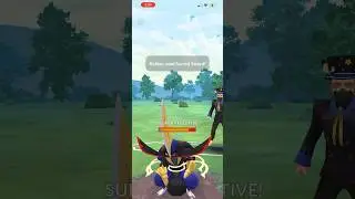 Keldeo almost one shots Shiny Kingambit