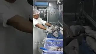 coral fish cutting in oman #coralfish #fishcooking #fishcutting #fish #fishpreparation #fishlover