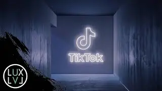 TIKTOK VidCon 2022 and The Luxury Level