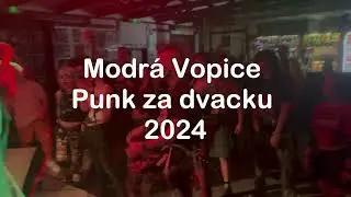 Beernard&yacute;n - Punk za dvacku, Modr&aacute; Vopice 14.5.2024