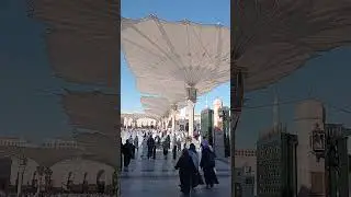 Madina azdn