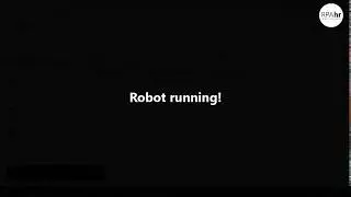 Robotic payment process automation