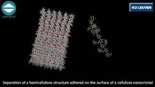 Separation of a hemicellulose structure adhered on the surface of a cellulose nanocrystal