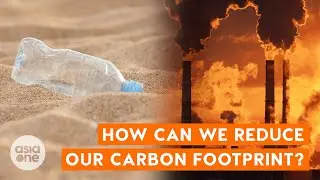 Reducing carbon emissions | TLDR