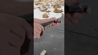 Shooting Beretta 21A Covert Suppressed - 22lr