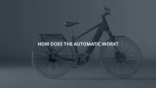 Enviolo Automatic Explainer (Multi Language)