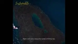 World Ocean Day Video