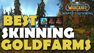 Best Skinning Goldfarms WOTLK Classic!