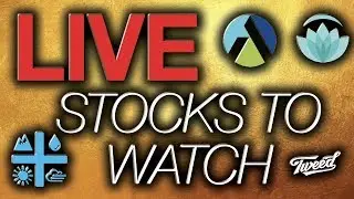 Will Aurora Cannabis Hold 10$? Namaste News (N) Aphria (APHA) Khiron (KRHN) Stock Markets live 2019