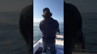 Deep dropping days on the continental shelf 🛥️🎣 #fishing #bigfish #deepdropping #deepsea #boat