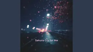 Sakura Cry for Me