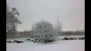 Winter, Fire and Snow (Anúna cover)