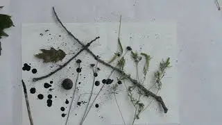 Toothbrush and Ink Demo