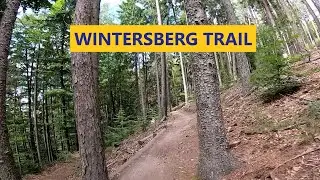 Wintersberg Trail (Flowtrail Bad Orb)