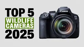 Top 5 Best Canon Cameras for Wildlife Photography in 2025