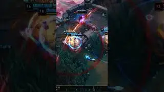 LEESIN HIGHLIGHTS