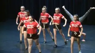 A vizes vb-n lép fel a Csillag Show Tánc Egyesület