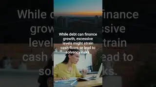 Long Term Debt Analysis
