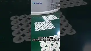 LED Bulb Factory：QH Lighting Full Automatic SKD Production Line，production 5000000 per month