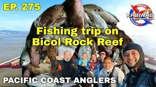 EP. 275 Fishing trip on Bicol Rock Reef where grouper is abundant.