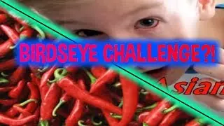 THE BIRDSEYE CHALLENGE!
