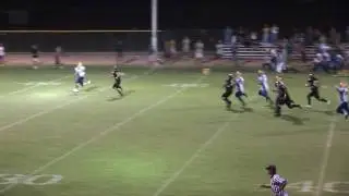 TPA 1