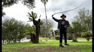 Cracking a SwordGuyBuilds 8&rsquo; Economy Indy Bullwhip