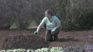Annual Flower Fertilizer
