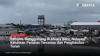 Sampah Menggunung di Muara Baru, Nelayan Keluhkan Perairan Tercemar dan Penghasilan Turun