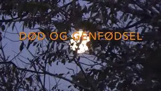 D&Oslash;D OG GENF&Oslash;DSEL- UFFE DAMBORG