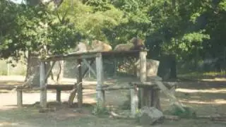 zoo de thoiry