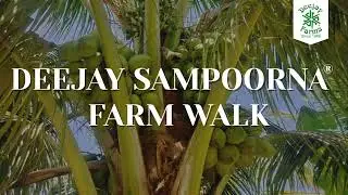 See How This 2-Acre Hybrid Coconut Farm Thrives in Chittoor | Deejay Sampoorna Farm Tour