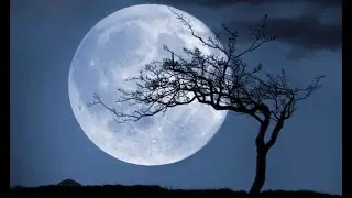 Progressive Psytrance Mix Half Moon Party Style. Vol 5 : Neelix, Ghost Rider, Phaxe, Innerbloom ,...