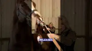 Why This Horse Doesn&rsquo;t Kick Back