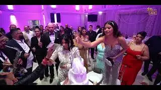 Veridba Teodora & Mirko - Best Moments