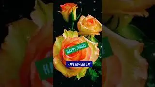 Happy Friday Status Video । Happy Friday । Friday Status । Whatsapp Status Video । Friday Getting ।