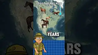 Как вымерли лошади в Северной Америке