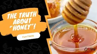 The Truth About Honey! Shelf Life & Why It&rsquo;s So Good For You &ldquo;Did You Know&rdquo;???