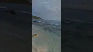 29 июля 2023 г.