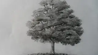Como dibujar un árbol paso a paso, bien fácil. Bases para aprender a dibujar un arbolito clásico.